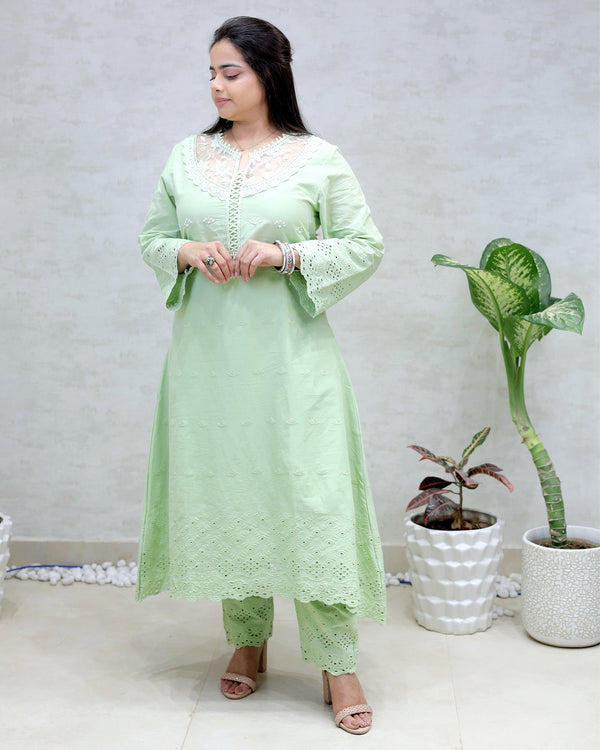 A-line Long Kurta Net Yoke with Pants